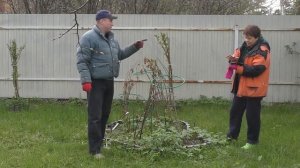 ЗИМОВКА РОЗ ИЛИ В ПОИСКАХ ПРОПАВШЕЙ ШАРАФУГИ