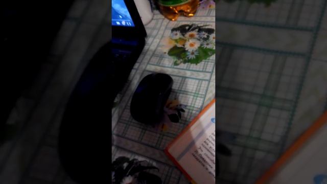 Арбизы выращиваем смотреть онлайн