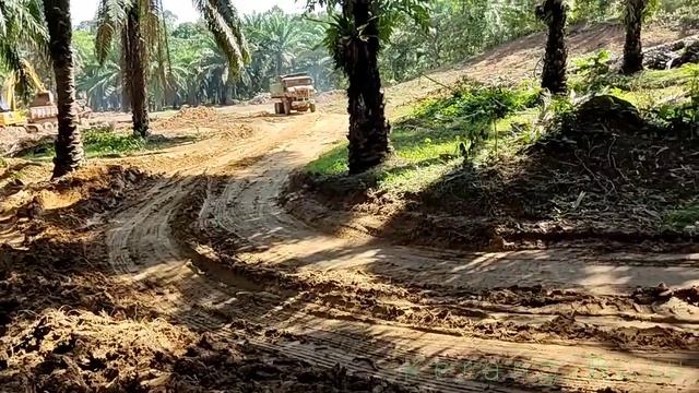 V8 Nissan Diesel | Old Dumper Truck Still Using Until Now | Malaysian Dumper