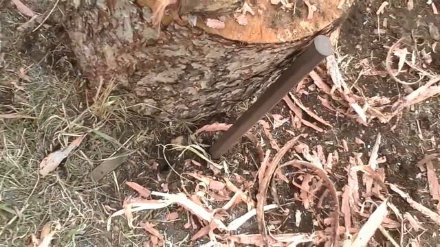 Как мне красиво спахали Культиватором . Огород.Земля как пух .Всех благ пахарю !!! смотреть онлайн