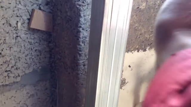 Утепление наружных стен-1 изнутри (опилкобетоном) арболитом смотреть онлайн