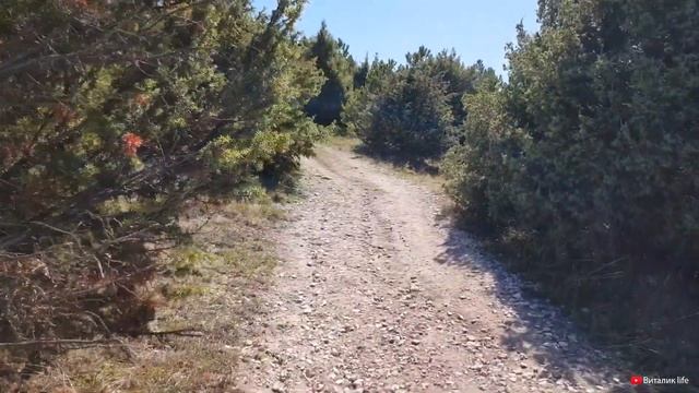 #49 Бахчисарай часть 2. Гора крокодил. Крым. смотреть онлайн
