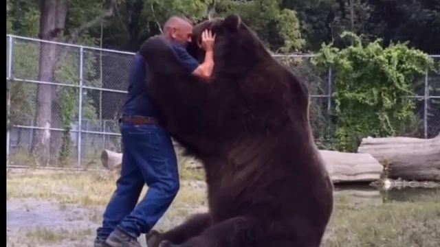 Человек спас медвежонка от медведя, и со временем он вырос в самого большого медведя в мире смотреть онлайн