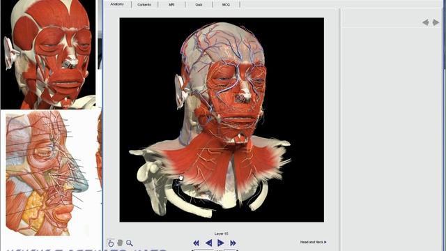 5_Щеки, скулы, подбородок, ямочки щек. смотреть онлайн