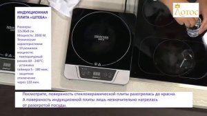 Индукционная плита «ШТЕБА» (STEBA)