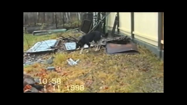 Мой дом 1998 год