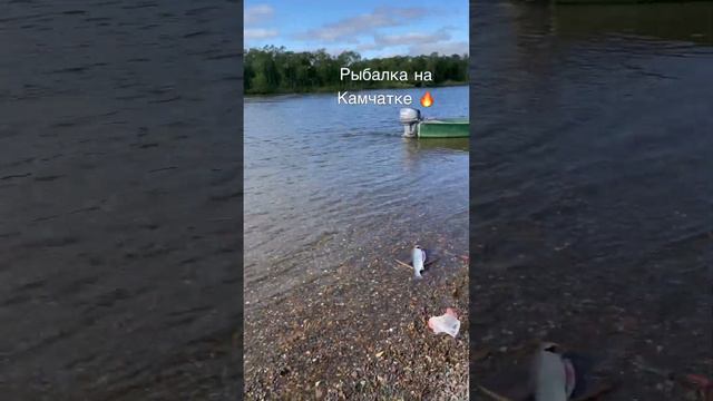 Время проведенное на рыбалки в счет жизни не идет ! 🔥Salmonarea.ru смотреть онлайн