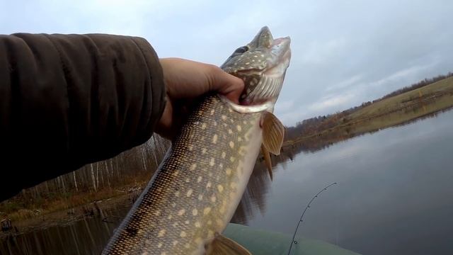 ЩУКА В КОРЯЖНИКЕ! ЛОВЛЯ щуки в ноябре 2018 на СПИННИНГ! ОТЧЕТ С РЫБАЛКИ! смотреть онлайн