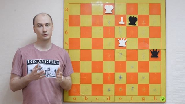 Учебный пример в шахматной партии смотреть онлайн