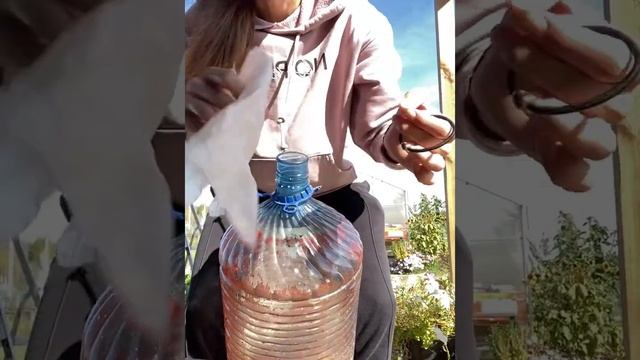 Чистота - наше предназначение