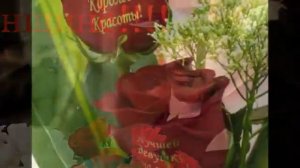 У меня мурашки от моей Наташки