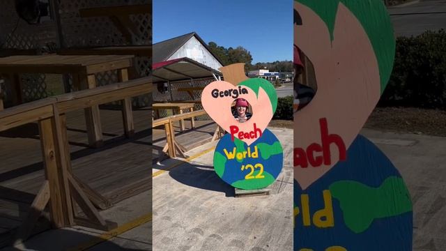 Штат Джорджия столица ? смотреть онлайн