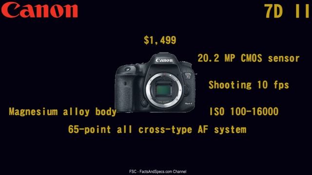 All you need to know about Nikon D7500 смотреть онлайн