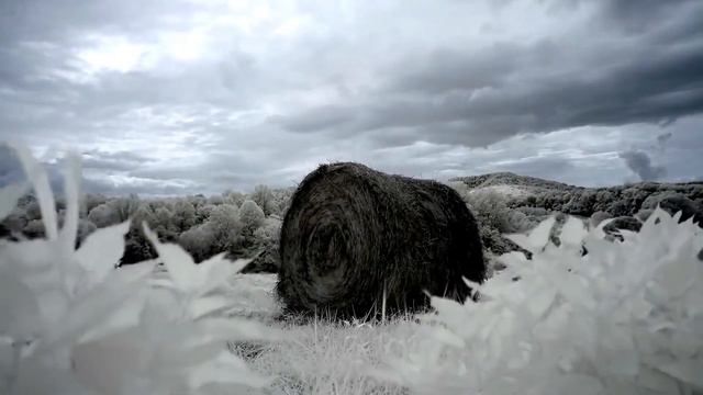 " Иисус прости меня . . / гр. Корни смотреть онлайн