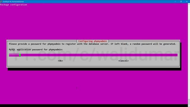 Install & Secure phpMyAdmin with 2 Authentification смотреть онлайн
