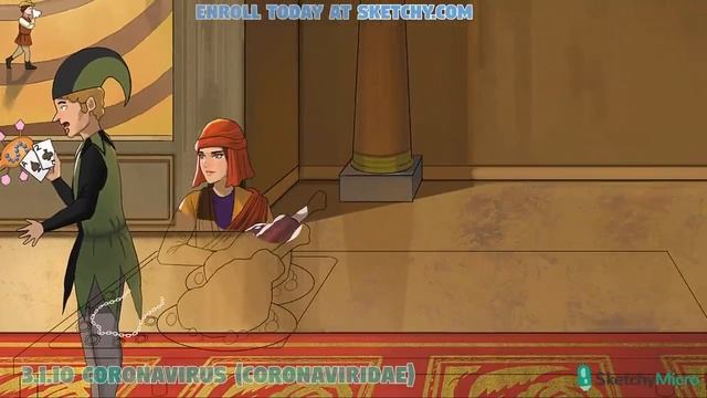 Sketchy Medical - Coronavirus (Coronaviridae) [UPDATED] смотреть онлайн