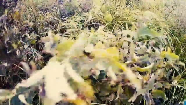 off road! Геоджипинг Экстрим туризм 44 Выходная прогулка! Серебряный плес и гузомой! смотреть онлайн