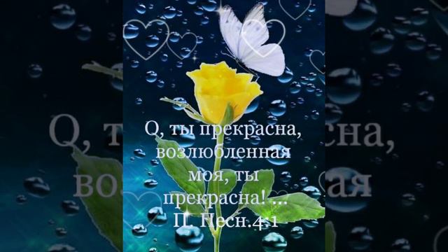 С прекрасным воскресным днём, возлюбленные! смотреть онлайн