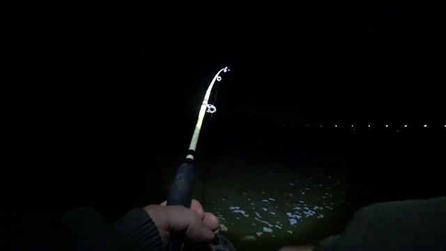 ЛЕЩ АКТИВИРОВАЛСЯ НА ПУЧКИ ЧЕРВЕЙ ЖОР/СЛОМАЛ СПИННИНГ смотреть онлайн