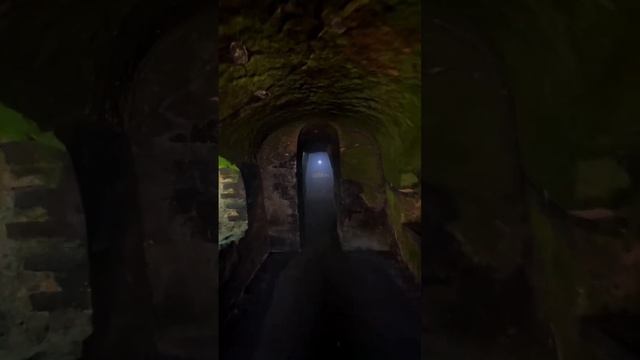 Пещера Goa Gajah. Дышать, из-за обилия благовоний практически невозможно ?#goagajah #бали #bali смотреть онлайн