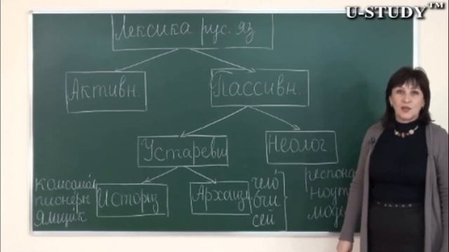 Подготовка к ЕНТ: Русский язык ( Омонимы) Лексика русского языка смотреть онлайн