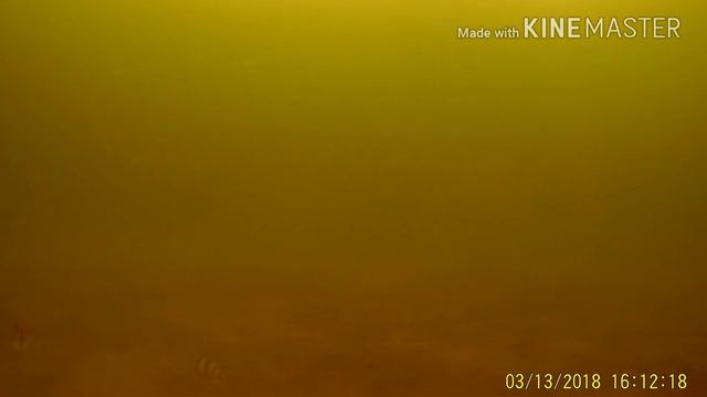 Зимняя рыбалка на окуня, чебака. Озеро Орлова. Курган. Подводная съёмка