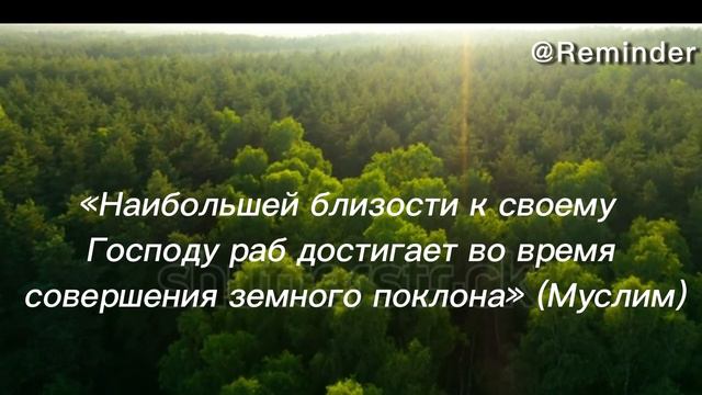 кто хочет быть ближе к Аллаху ? смотреть онлайн