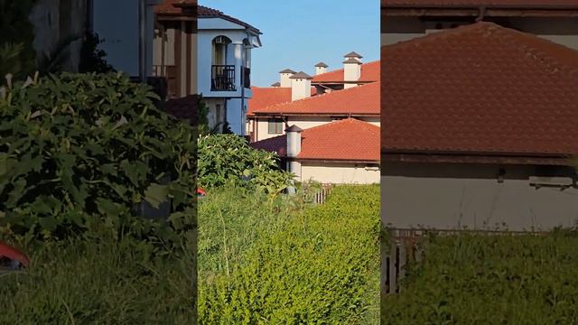 New friends - Мадж и Камелия. Путь домой в Etara. смотреть онлайн