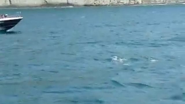 еще идем в джанхот смотреть онлайн