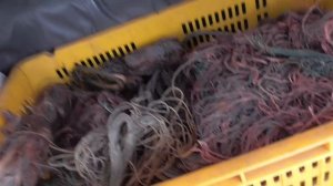 Сдаём медь.  Пришло время получить деньги!!! 100 кг!!!