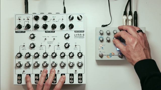 Hologram Microcosm and Soma Labs Lyra 8 смотреть онлайн