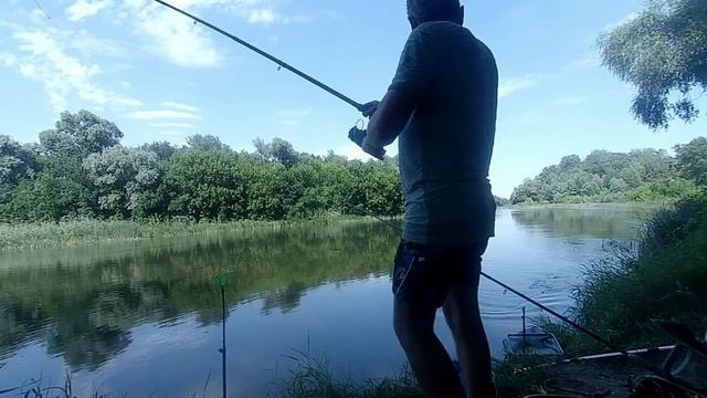 Адская рыбалка на Северском Донце(как поймать леща и другую рыбу, комары и трава - просто жесть!!!) смотреть онлайн
