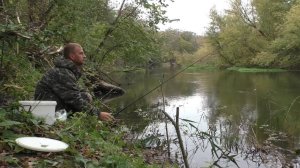 РЫБАЛКА НА ФИДЕР(донку) В ОКТЯБРЕ НА РЕКЕ.