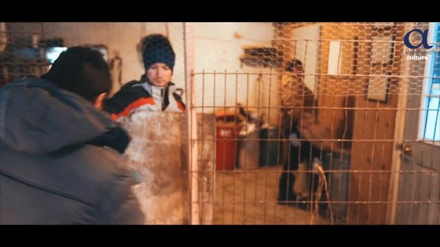 Hope Farm School for Inner City Kids смотреть онлайн