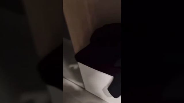 ДОЛЛАРЫ И ХОЛОДИЛЬНИК / САМВЕЛ АДАМЯН #топ #рекомендации #шортс #подпишись #самвеладамян #saveliyad смотреть онлайн