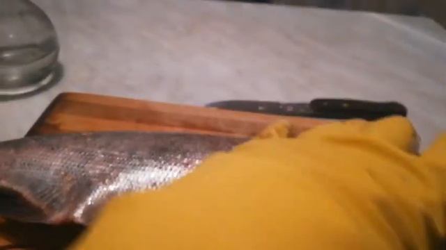 Что внутри у толстолобика смотреть онлайн