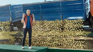 Сады Придонья существуют!