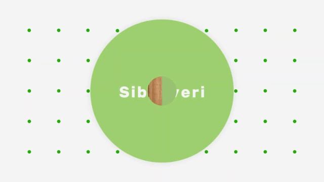 Sib-Dveri - Дера Классика Эко межкомнатная дверь 320 глухая смотреть онлайн