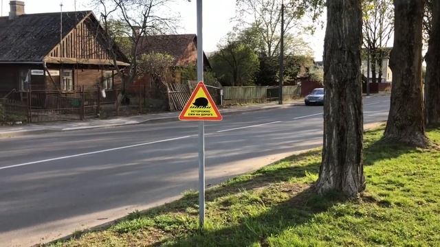 Знак "Осторожно, ёжики на дороге" появился в Бресте на Набережной смотреть онлайн