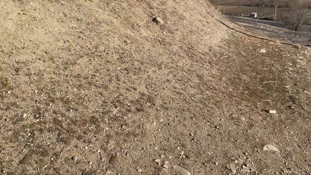ГРУЗИЯ | в феврале смотреть онлайн