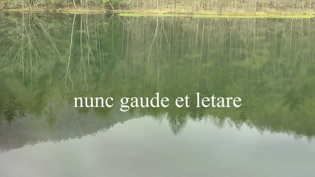 O frondens virga # Hildegard von Bingen #jade смотреть онлайн