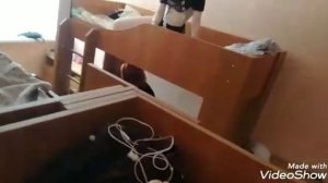 Мини влог лагерь