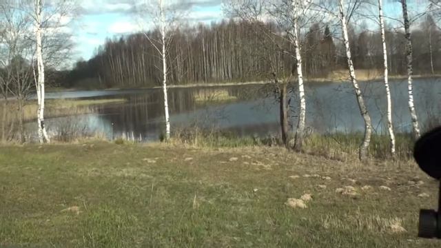 На рыбалку! Красоты смоленской области свежий воздух, тишина! Отдых сердцем и душой! #рыбалка смотреть онлайн