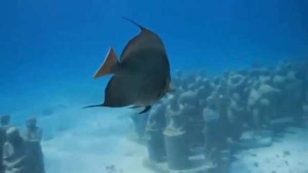 Экскурсия под водой- Magic Travel 5.03. 2014