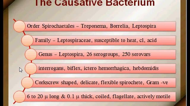 leptospirosis 3 смотреть онлайн
