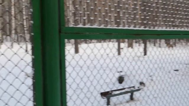 Орловское полесье, осёл смотреть онлайн