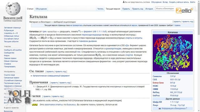 #Кашковский В. Г. Фермент каталаза у медоносных пчел смотреть онлайн