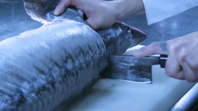 РАЗДЕЛКА (ОСЕТРОВЫХ) РЫБ ВЕСОМ 8КГ, ТАЙВАНЬСКАЯ ЕДА... смотреть онлайн