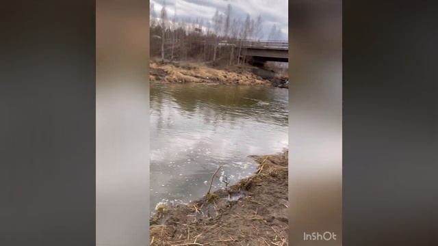 Весенний жор чебака смотреть онлайн