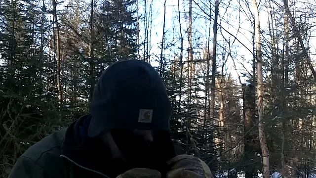 Carhartt 2 in 1 Fleece Hat смотреть онлайн